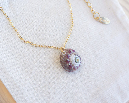 Necklace with a small shell pendant on a white background. Gold Bordeaux Green Patterned Flat Top Shell Necklace on display close up, Flat Topshell from Portugal