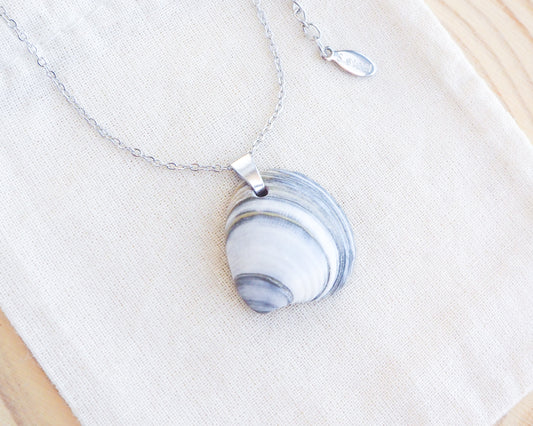 SEASHELL NECKLACE ~ Silver Denim Striped Venus Shell