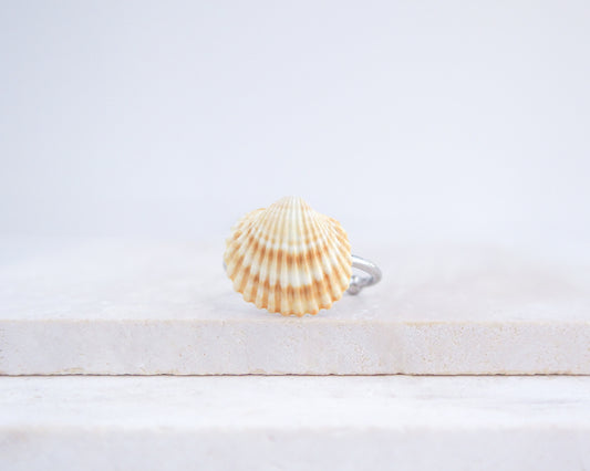 Handcrafted Silver Mediterranean cockle shell ring from Portugal on stone displayed, beach surf girl jewelry, silver adjustable ring with Portuguese cockle shell, ocean inspired beach jewelry 