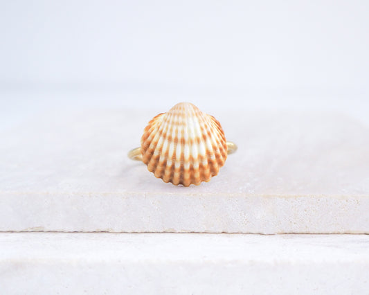 Front view of dark Mediterranean cockle shell ring from Portugal on stone displayed, beach surf girl jewelry, gold ring with Portuguese cockle shell, ocean inspired beach jewelry, yellow orange shell from Algarve
