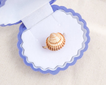 Orange Mediterranean cockle shell ring in seashell jewelry box, beach surf girl jewelry, gold stainless steel ring with Portuguese cockle shell, ocean inspired beach jewelry 