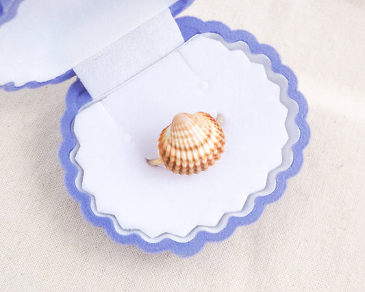 Orange Mediterranean cockle shell ring in seashell jewelry box, beach surf girl jewelry, gold stainless steel ring with Portuguese cockle shell, ocean inspired beach jewelry 