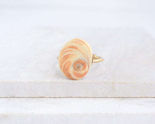 Shell-shaped ring on a white surface. Orange Yellow Eye of Saint Lucia Shell Gold Ring displayed on stone close up, Handcrafted Orange Shiva Eye Ring, Real Shiva Eye from Portugal, Handpicked eye of saint lucia, gold stainless steel ring