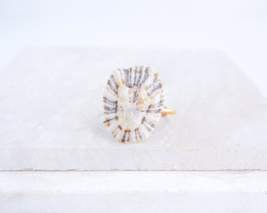 Close up front view of Light Limpet Shell Gold Ring from Portugal on stone display, Handpicked Rough Limpet Shell from Portugal, Gold Stainless Steel ring with Limpet Shell