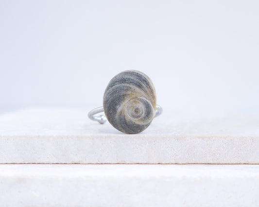 Shell-shaped ring on a white surface. Dark Grey Eye of Saint Lucia Shell Silver Ring III displayed on stone front view, shiva eye from Portugal