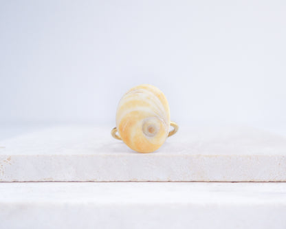Shiva Eye ring on a white surface. Orange Yellow Eye of Saint Lucia Shell Gold Ring displayed on stone close up, Handcrafted Orange Shiva Eye Ring, Real Shiva Eye from Portugal, Handpicked eye of saint lucia, gold stainless steel ring