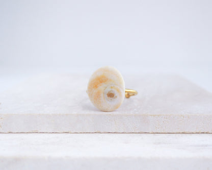 Soft yellow shiva eye ring on a white surface. Orange Yellow Eye of Saint Lucia Shell Gold Ring displayed on stone close up, Handcrafted Orange Shiva Eye Ring, Real Shiva Eye from Portugal, Handpicked eye of saint lucia, gold stainless steel ring