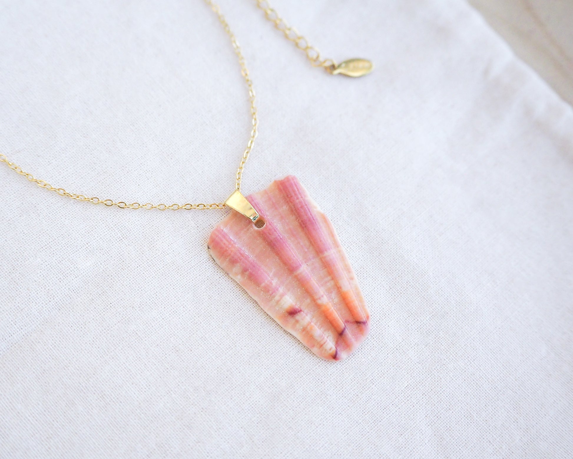 Piece of Great Scallop Shell Pendant with Gold Stainless Steel Necklace Chain on display, Sea by Lou