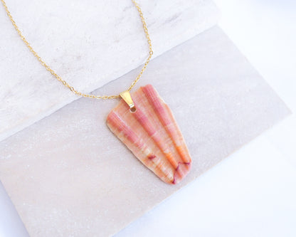 Close up of Piece of Great Scallop Shell Pendant with Gold Stainless Steel Necklace Chain on display, Sea by Lou