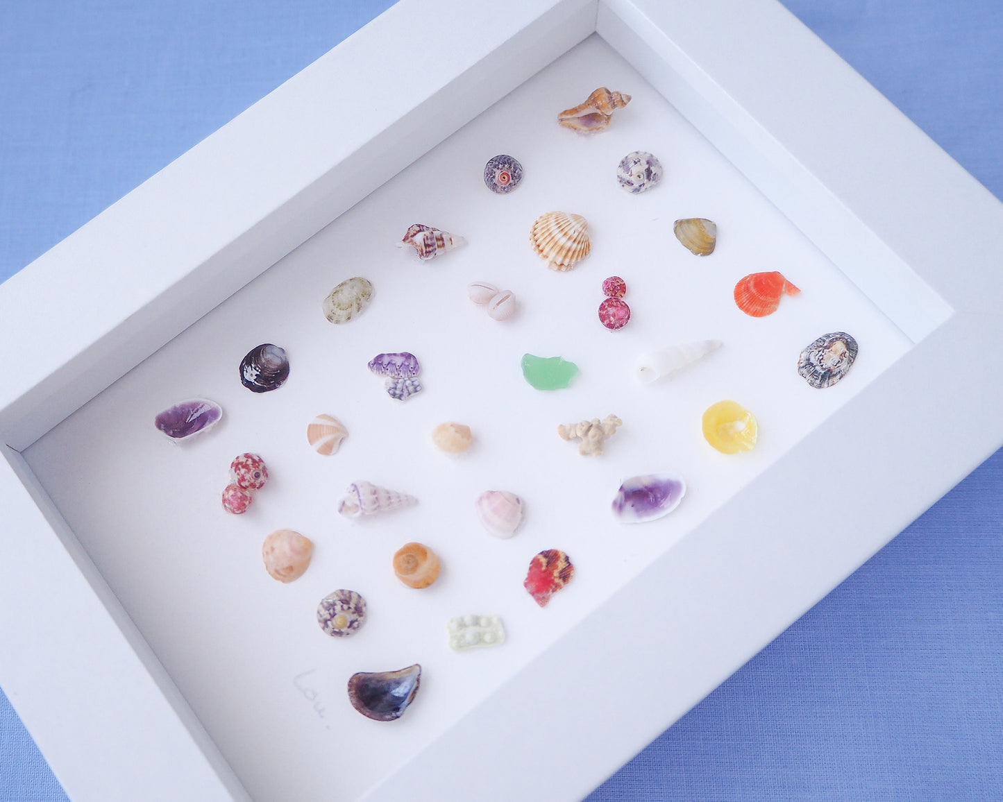 SEASHELL ARTWORK ~ Tiny Sea Treasures Summer Mix