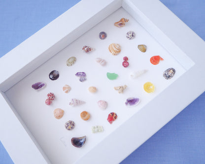 SEASHELL ARTWORK ~ Tiny Sea Treasures Summer Mix