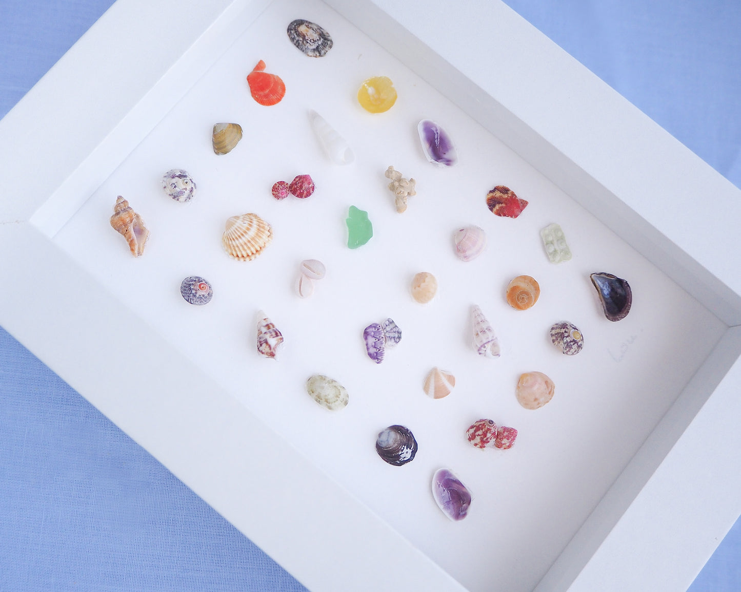 Seashell Artwork Mini Mix featuring 30 tiny beach treasures and shells handpicked from Portugal set in a white glass frame box. Coastal Beach Art for nightstand and bookshelf. seabylou, SEA by LOU