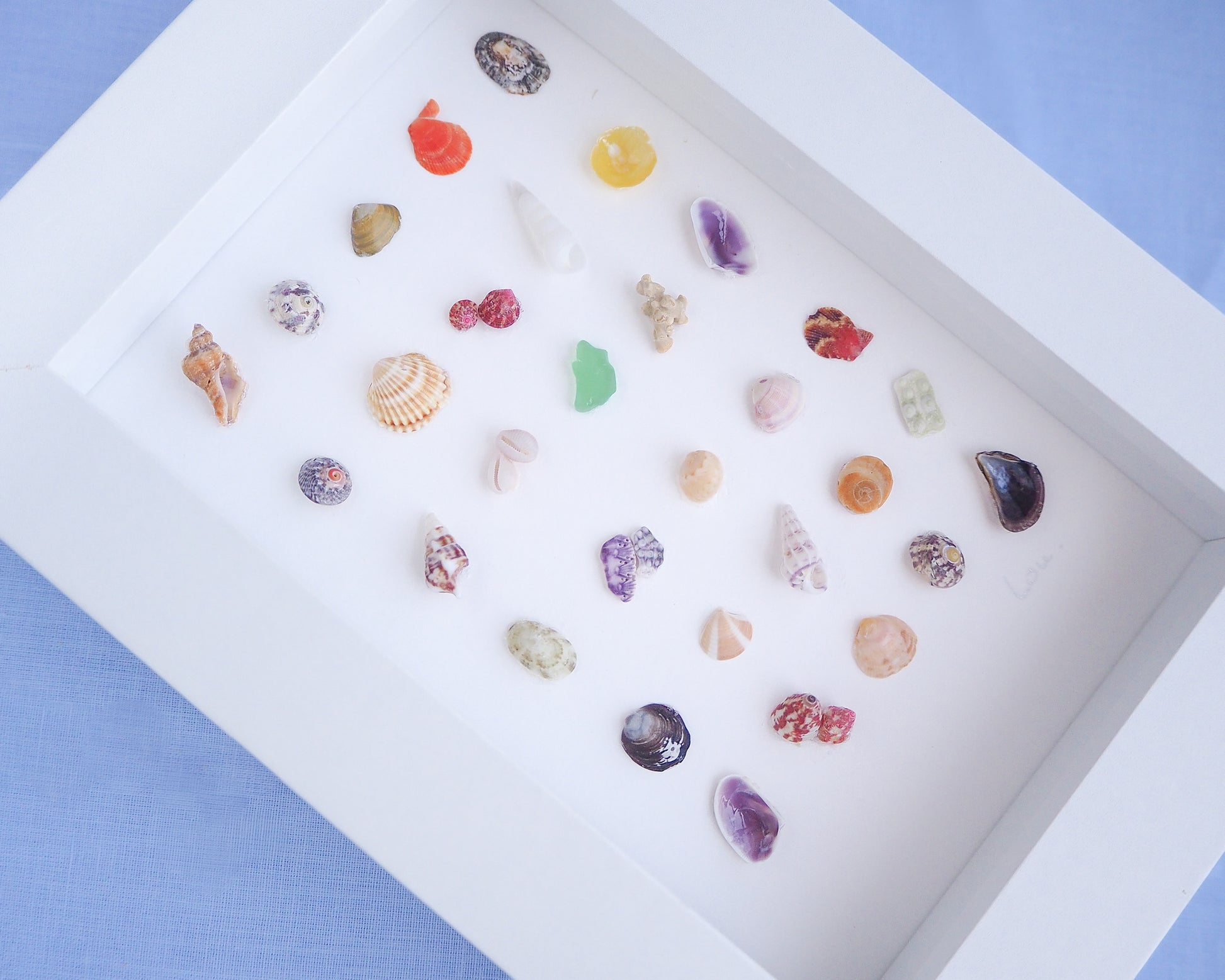 Seashell Artwork Mini Mix featuring 30 tiny beach treasures and shells handpicked from Portugal set in a white glass frame box. Coastal Beach Art for nightstand and bookshelf. seabylou, SEA by LOU