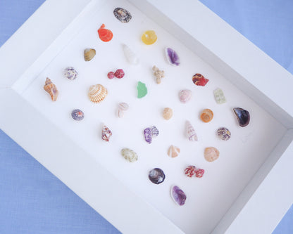 Seashell Artwork Mini Mix featuring 30 tiny beach treasures and shells handpicked from Portugal set in a white glass frame box. Coastal Beach Art for nightstand and bookshelf. seabylou, SEA by LOU