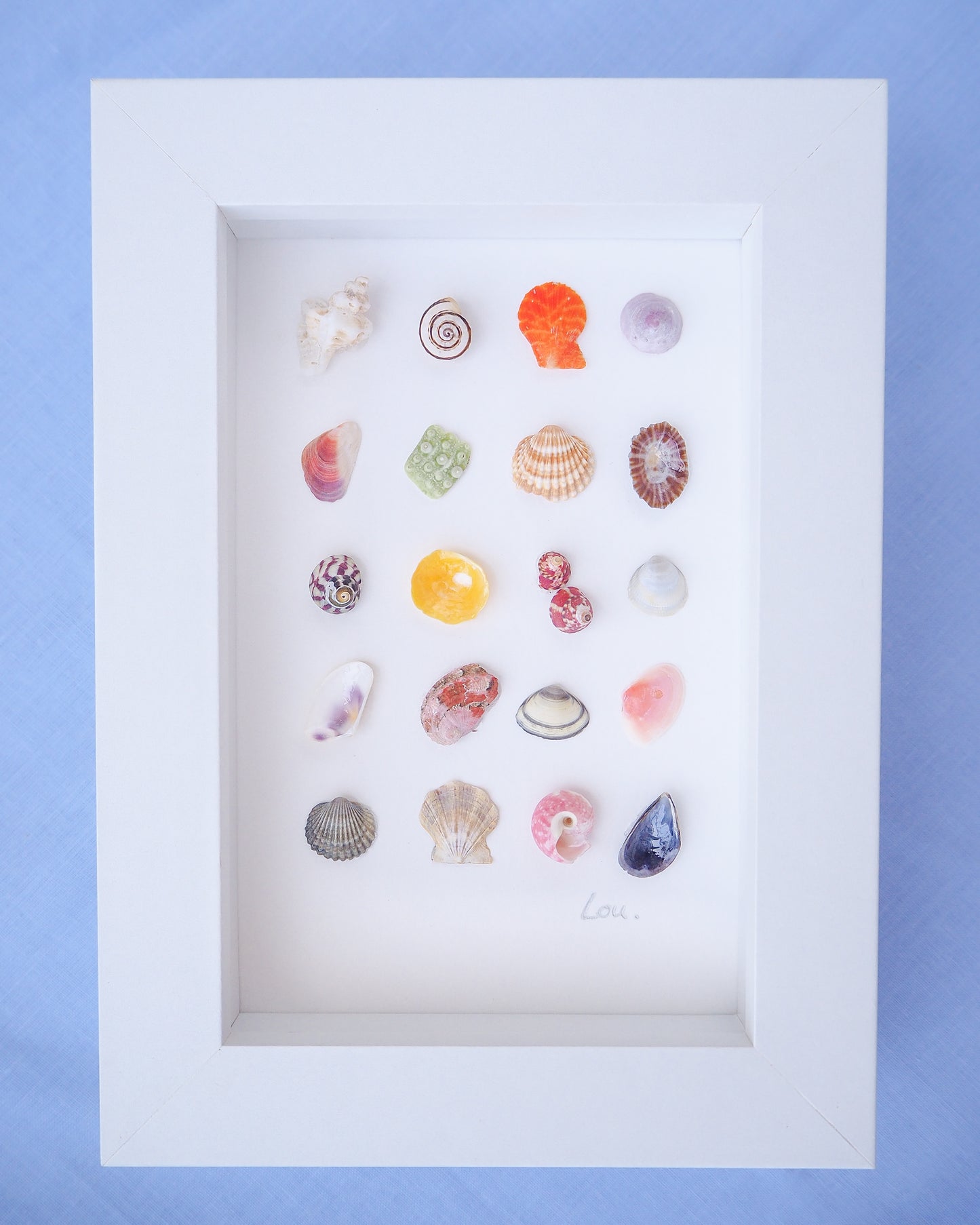 Collection of colorful seashells in a white frame against a blue background. Front view of Seashell Artwork Mini Mix featuring 20 tiny beach treasures and shells handpicked from Portugal set in a white glass frame box. Coastal Beach Art for bookshelf and nightstand. seabylou, SEA by LOU
