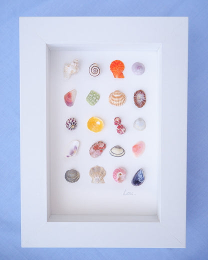 Collection of colorful seashells in a white frame against a blue background. Front view of Seashell Artwork Mini Mix featuring 20 tiny beach treasures and shells handpicked from Portugal set in a white glass frame box. Coastal Beach Art for bookshelf and nightstand. seabylou, SEA by LOU
