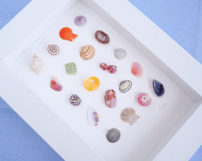 Assorted colorful seashells in a white box on a blue background. Side view of Seashell Artwork Mini Mix featuring 20 tiny beach treasures and shells handpicked from Portugal set in a white glass frame box. Coastal Beach Art for bookshelf and nightstand. seabylou, SEA by LOU
