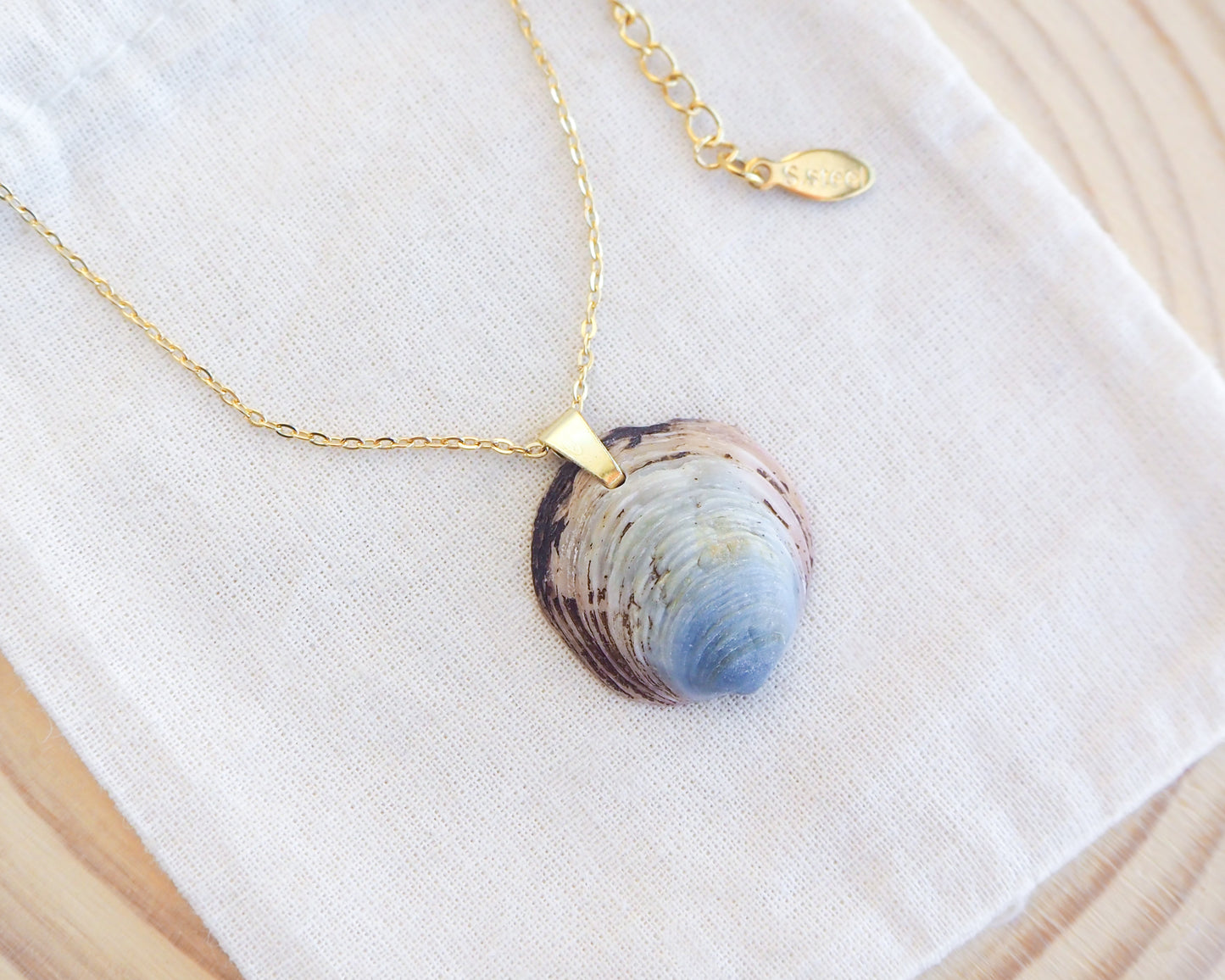 Gold necklace with a shell pendant on a white fabric background. Blue Ungulina Rubra Shell Necklace with gold chain on display, handpicked blue mussel shell from Portugal, blue cockle shell 