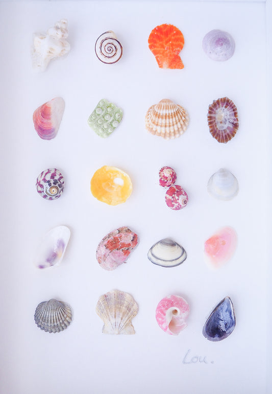Seashell Artwork Mini Mix featuring 20 tiny beach treasures and shells handpicked from Portugal set in a white glass frame box. Coastal Beach Art for bookshelf and nightstand. seabylou, SEA by LOU
