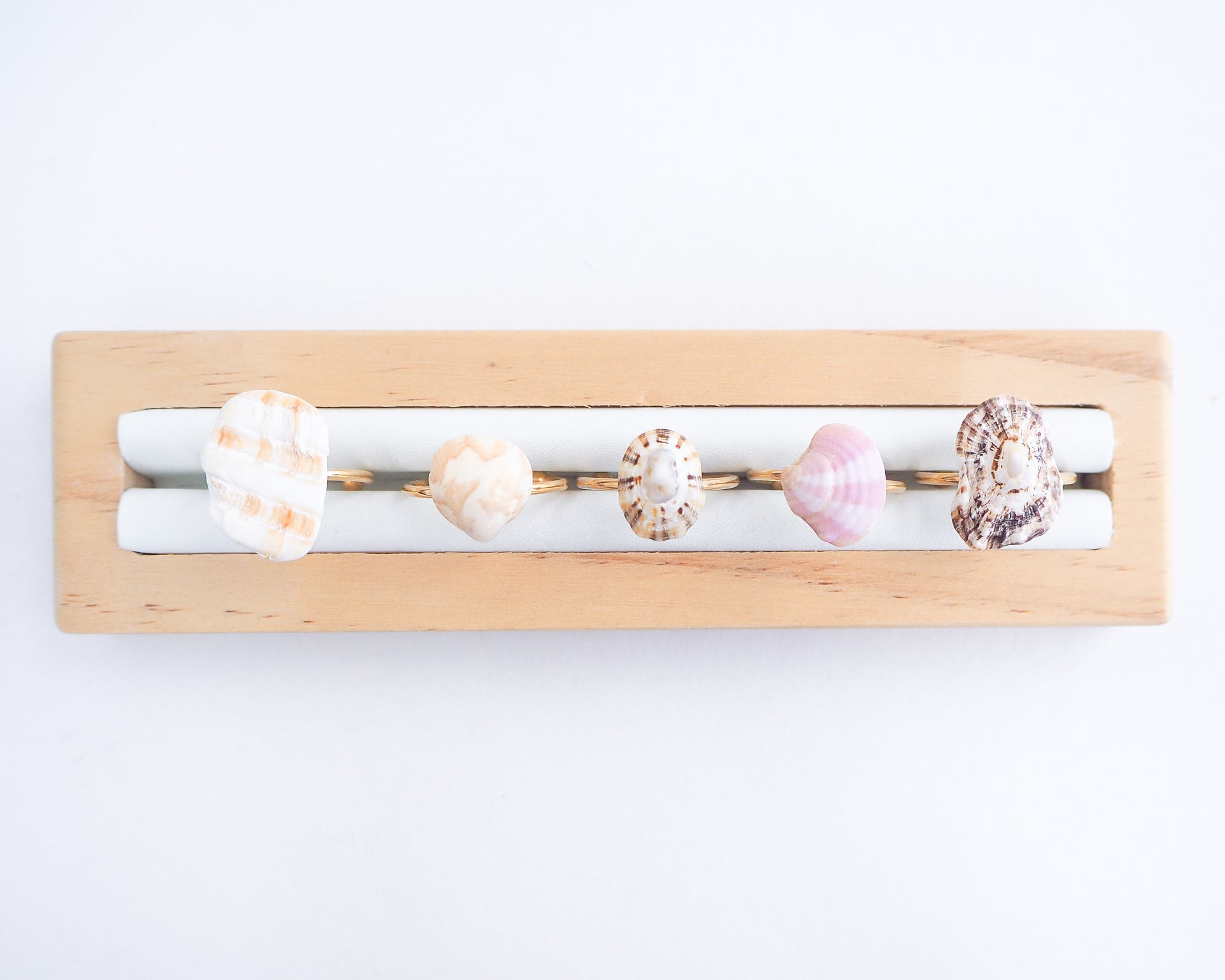 Seashell Rings collection 2025 made with handpicked shells from Portugal. 