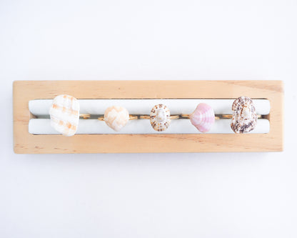 Seashell Rings collection 2025 made with handpicked shells from Portugal. 