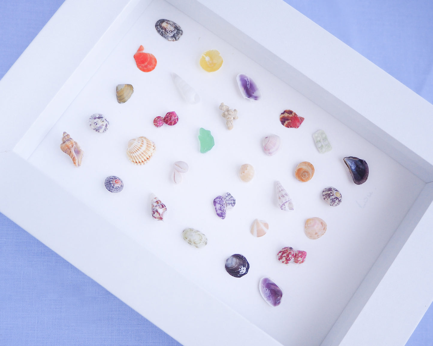 Seashell Artwork Mini Mix featuring 30 tiny beach treasures and shells handpicked from Portugal set in a white glass frame box. Coastal Beach Art for nightstand and bookshelf. seabylou, SEA by LOU