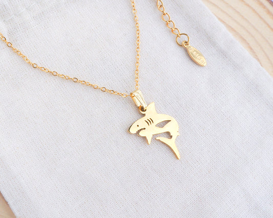 Shark Necklace on display