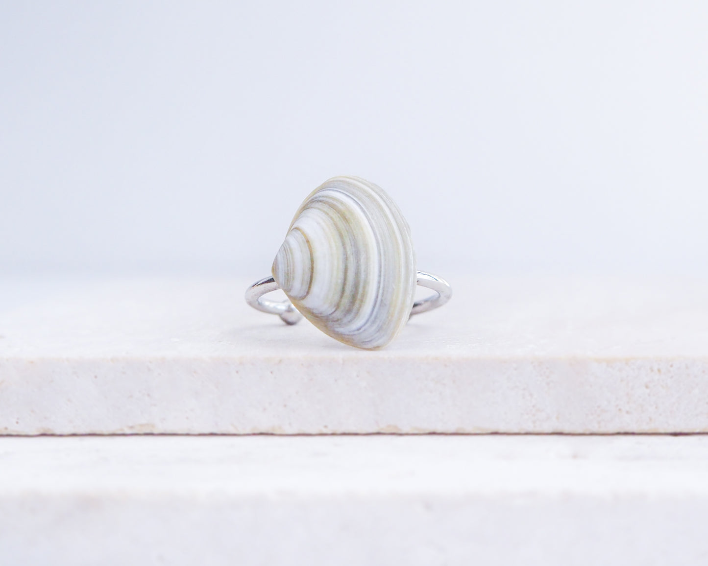 Silver Atlantic Surf Clam Shell Ring on stone displayed, Shell ring from Portugal