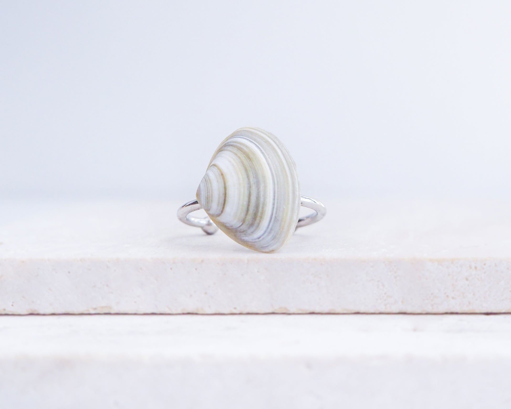 Silver Atlantic Surf Clam Shell Ring on stone displayed, Shell ring from Portugal