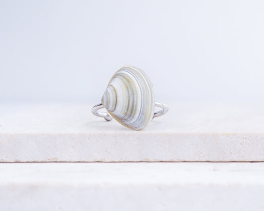 Silver Atlantic Surf Clam Shell Ring on stone displayed, Shell ring from Portugal