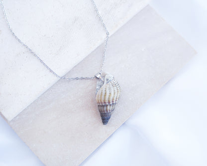Back side of Dark Netted Dog Whelk Shell Silver Necklace on stone displayed, Silver stainless steel chain, Netted Dogwhelk Shell handpicked from Portugal