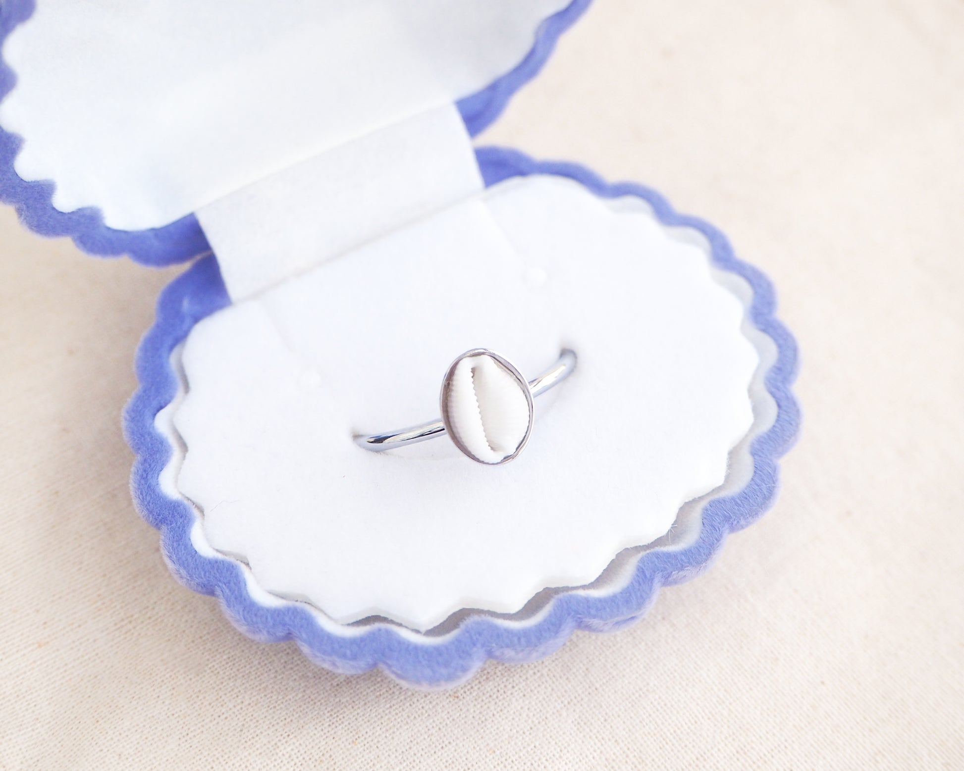 Silver European Cowrie Shell Ring from Portugal in box displayed, Handpicked Spotted Cowrie Shell from Portugal, Gold Stainless Steel ring with tiny cowrie shell, Gift for beach girls