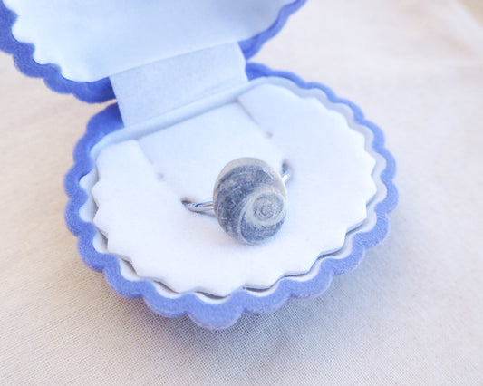 Silver Eye of Saint Lucia Shell Ring in box, Saint Lucy Eye from Portugal