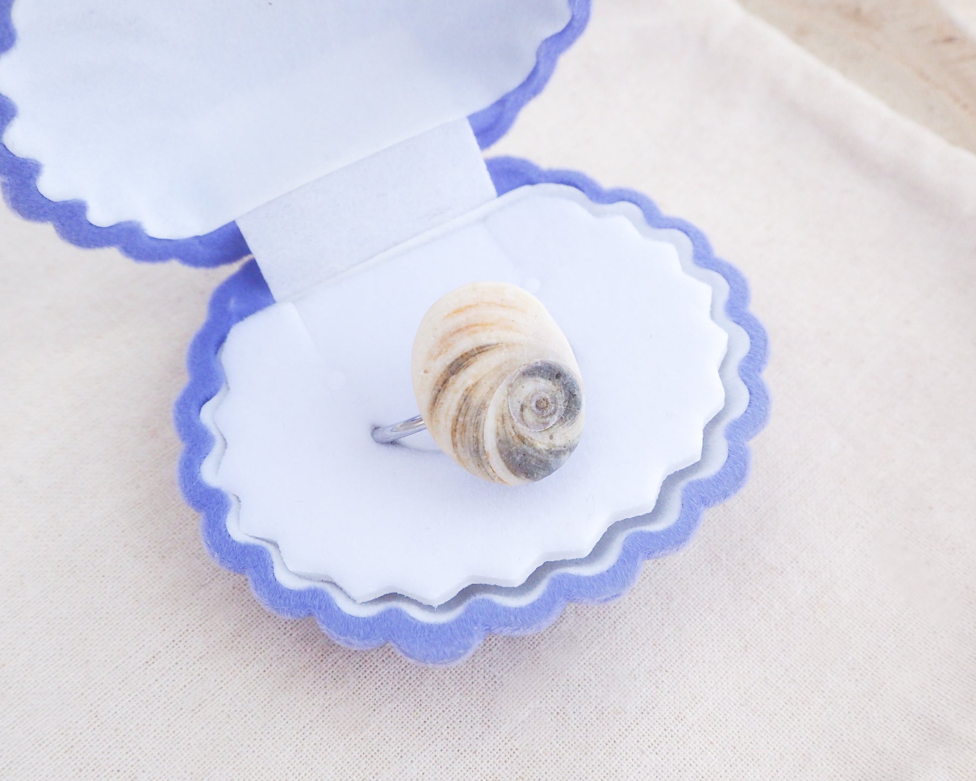 Eye of Saint Lucia Shell Silver Ring II in blue seashell jewelry box