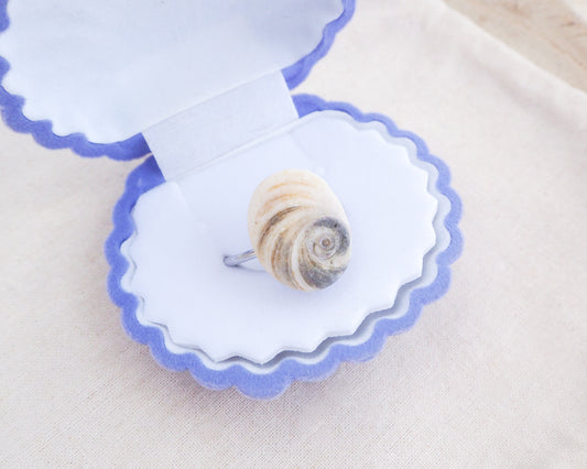 Eye of Saint Lucia Shell Silver Ring II in blue seashell jewelry box