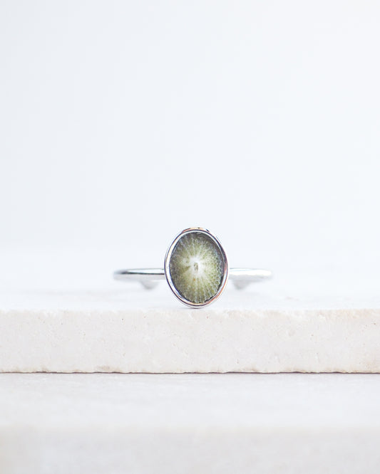 Silver Green Common Keyhole Limpet Shell Ring on display, Green Limpet Shell from Portugal set in a silver stainless steel bezel adjustable ring 