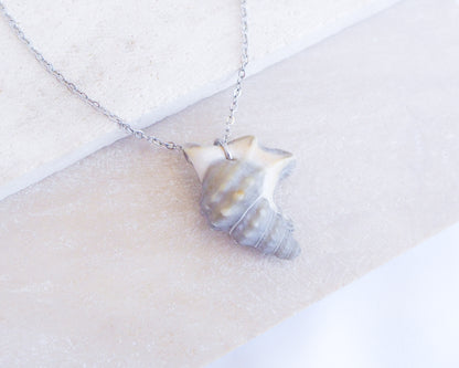 Grey Pelican Foot Shell Necklace, Real Grey Shell from Algarve, Portugal, Silver Stainless Steel chain