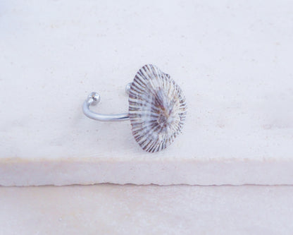 Striped Limpet Shell Silver Ring with Limpet Shell from Portugal on display side view