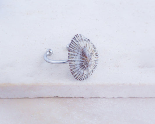 Striped Limpet Shell Silver Ring with Limpet Shell from Portugal on display side view