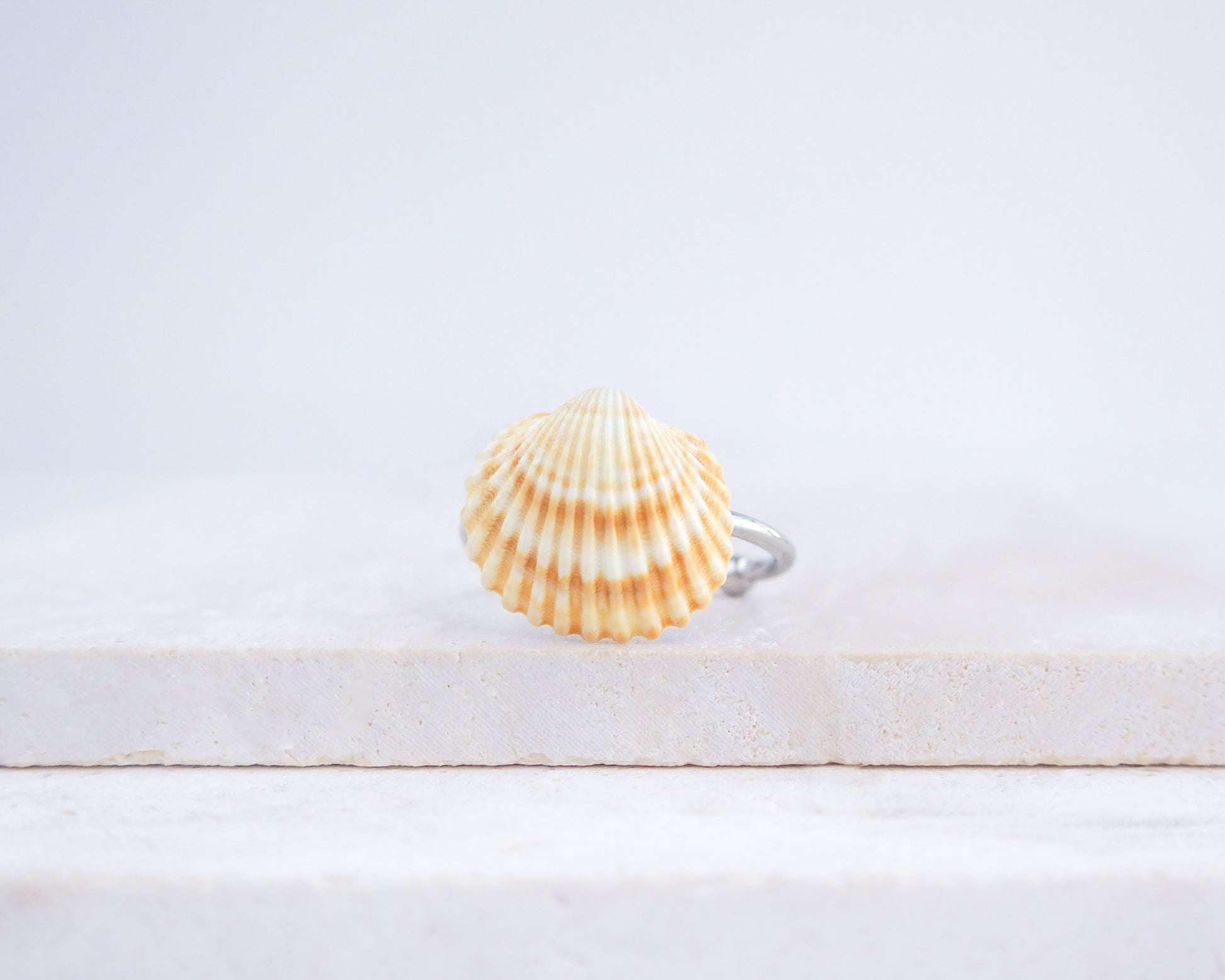 Handcrafted Silver Mediterranean cockle shell ring from Portugal on stone displayed, beach surf girl jewelry, silver adjustable ring with Portuguese cockle shell, ocean inspired beach jewelry 