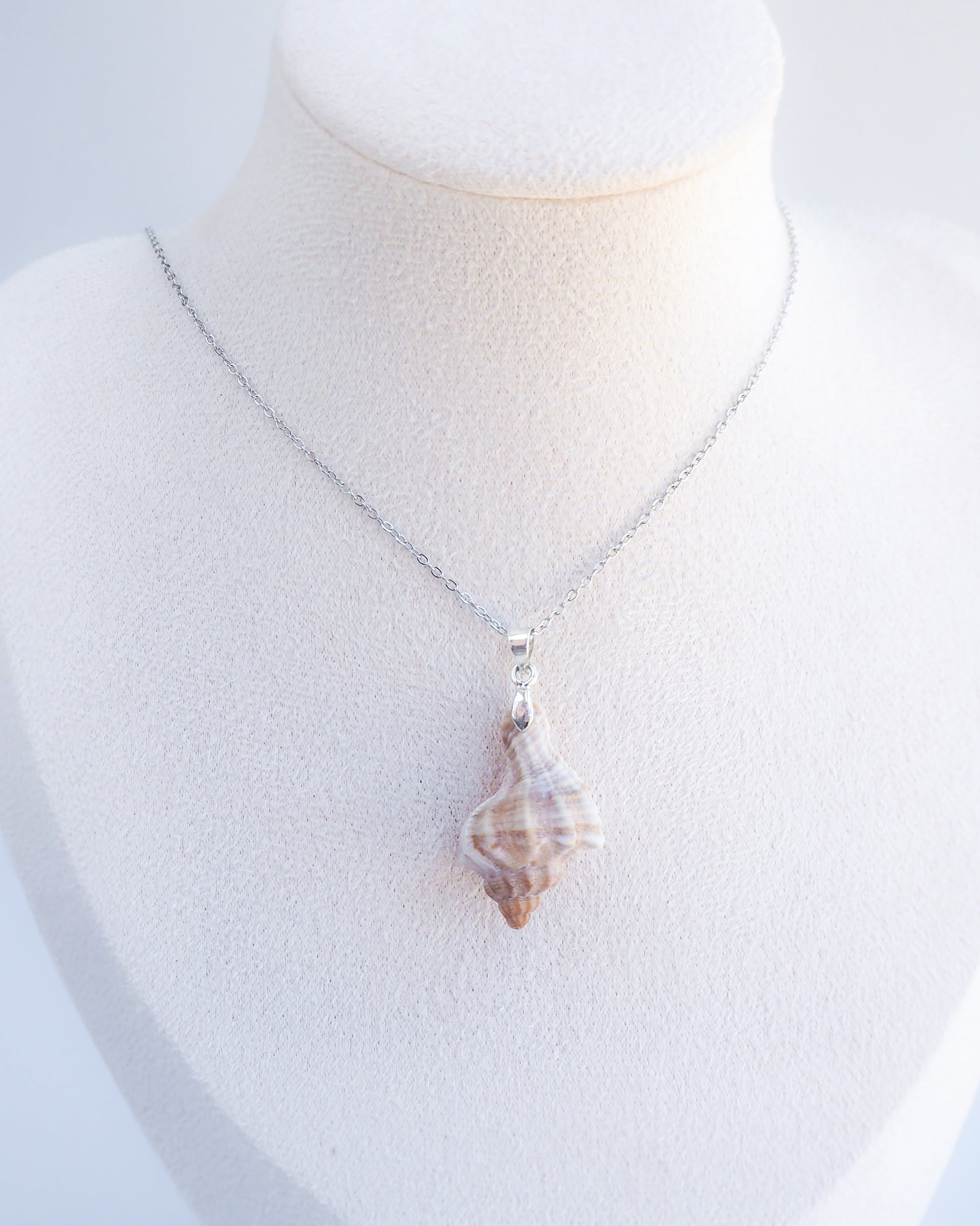 Banded Dye Murex Shell Silver Necklace on neck model, Seabylou, Shell from Portugal