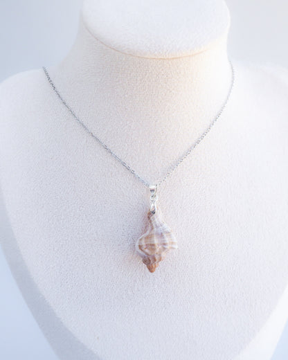 Banded Dye Murex Shell Silver Necklace on neck model, Seabylou, Shell from Portugal