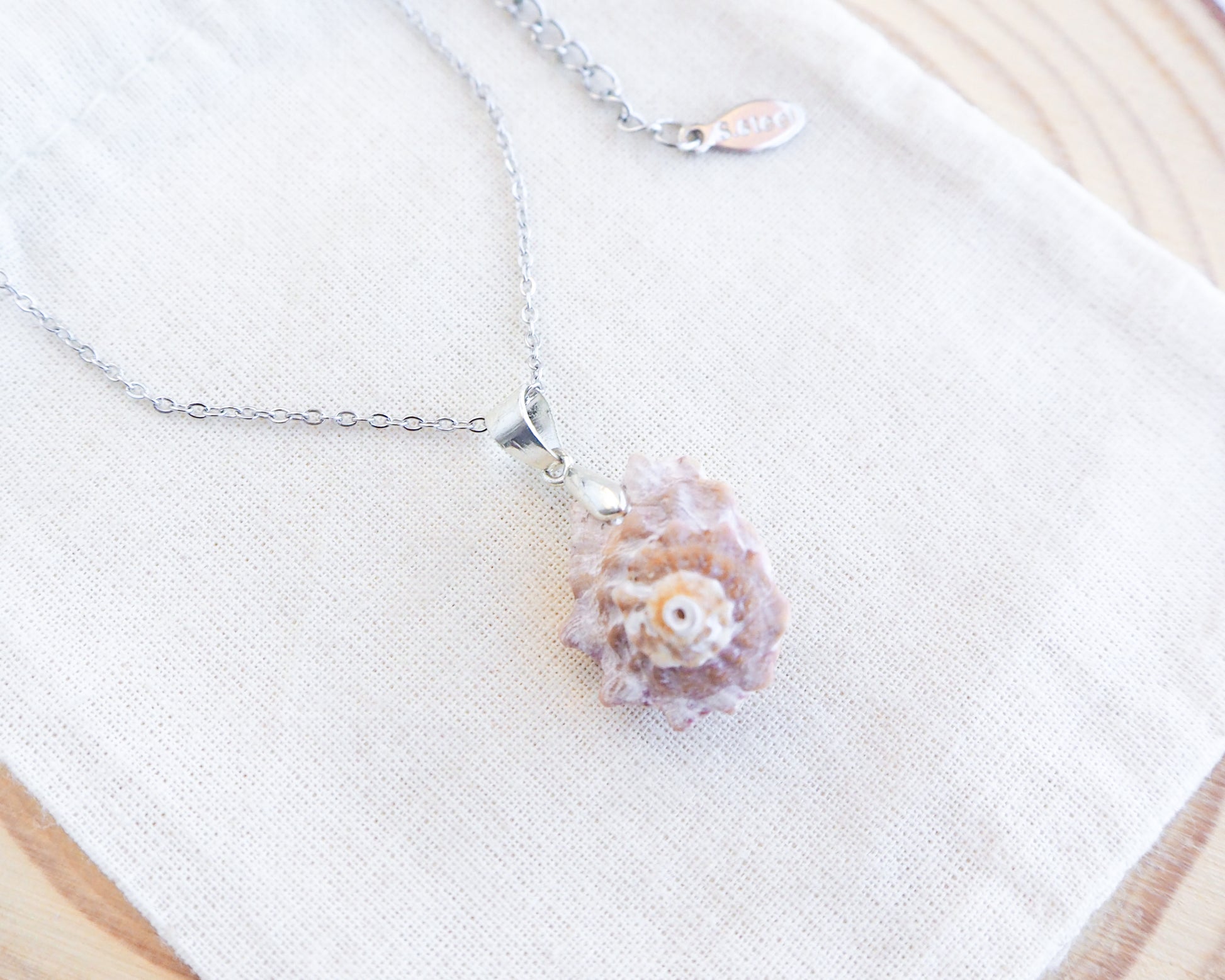 Silver Star Shell Necklace in display, Rough Star Shell from Portugal