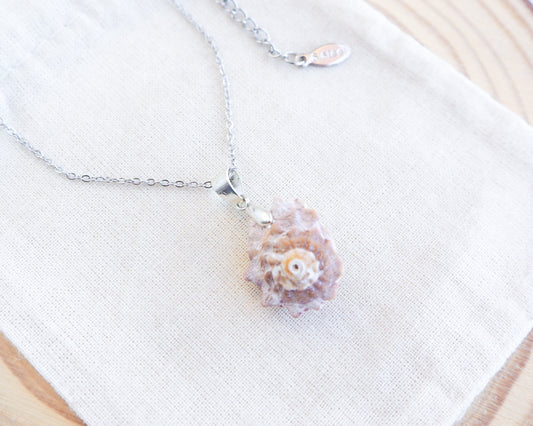 Silver Star Shell Necklace in display, Rough Star Shell from Portugal