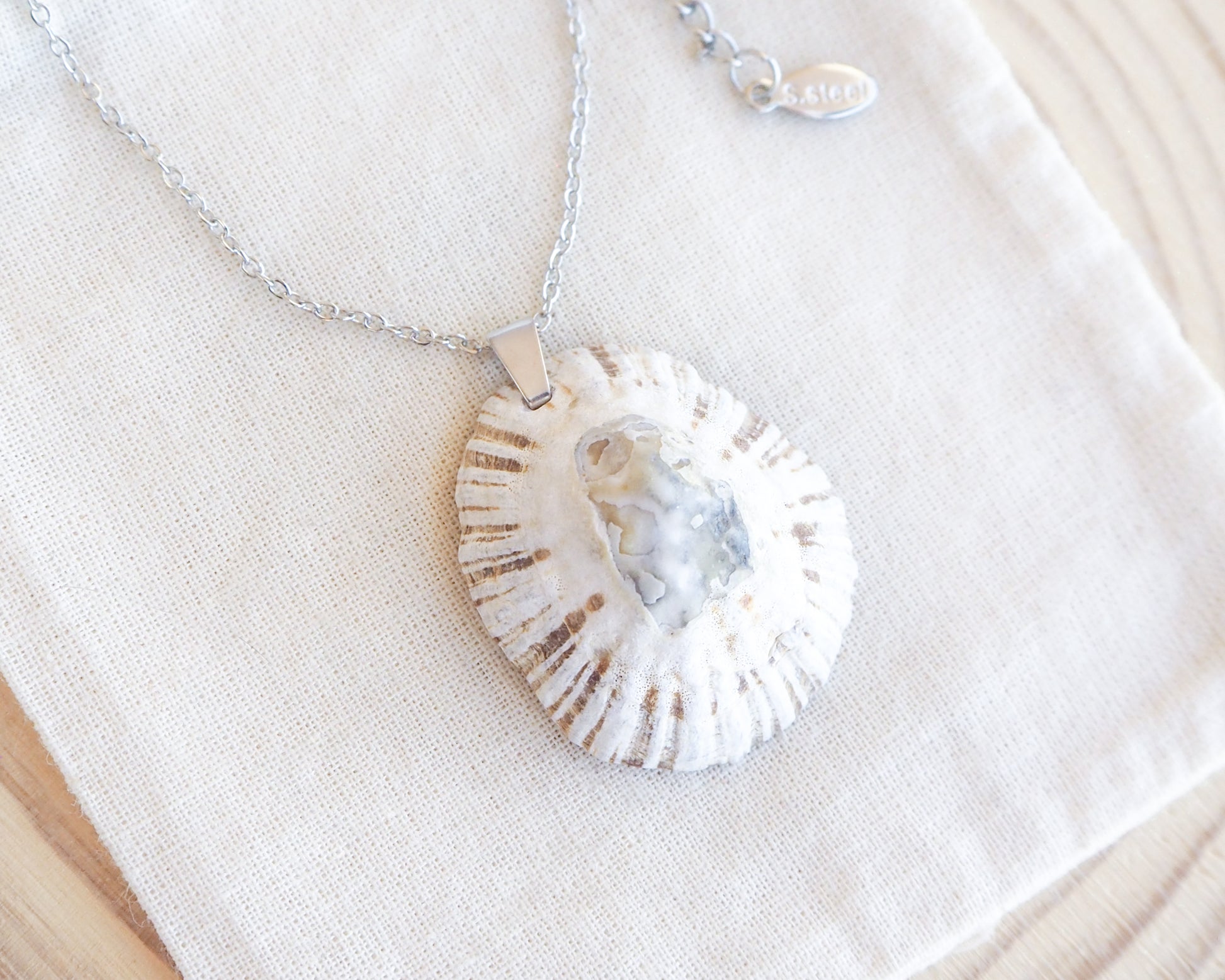 White Grey Limpet Shell Silver Necklace on display