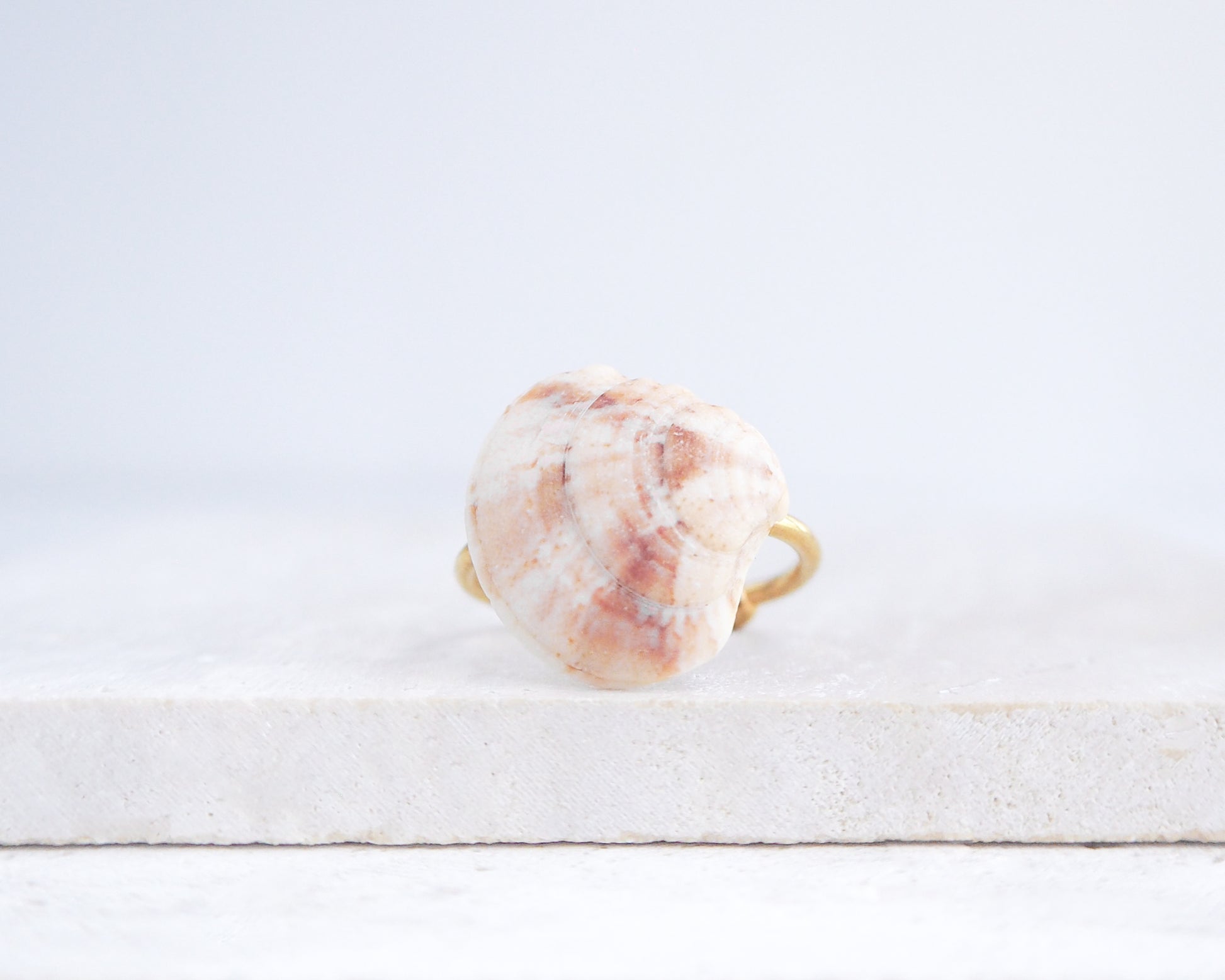 Soft Coral Venus Shell Gold Ring III on stone displayed, Venus Shell ring from Portugal
