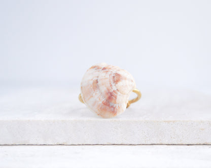 Soft Coral Venus Shell Gold Ring III on stone displayed, Venus Shell ring from Portugal