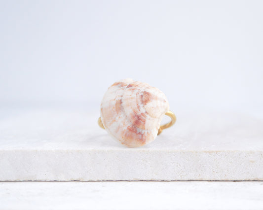Soft Coral Venus Shell Gold Ring III on stone displayed, Venus Shell ring from Portugal