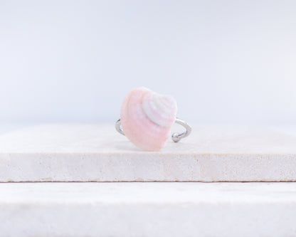 Soft Pink Venus Shell Silver Ring III on display, Pink Venus Shell from Portugal front view
