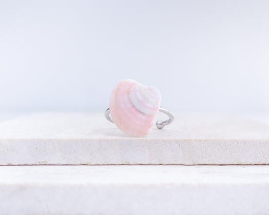 Soft Pink Venus Shell Silver Ring III on display, Pink Venus Shell from Portugal front view